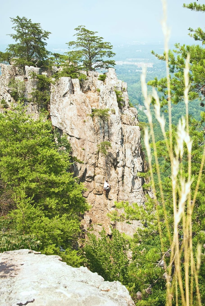 悬崖、攀缘、针叶林、冷杉、森林、人、山、户外