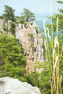 悬崖、攀缘、针叶林、冷杉、森林、人、山、户外