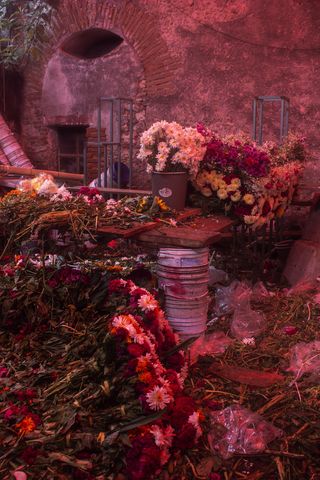 花卉，花店，花卉，玫瑰，商店，购买，销售，工作