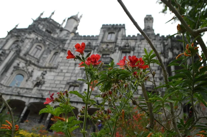 葡萄牙辛特拉皇家金塔，建筑，植物，建筑结构，建筑外观，花卉