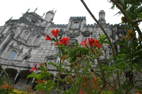 葡萄牙辛特拉皇家金塔,建筑,植物,建筑结构,建筑外观,花卉 葡萄牙辛特拉皇家金塔,建筑,植物,建筑结构,建筑外观,花卉
