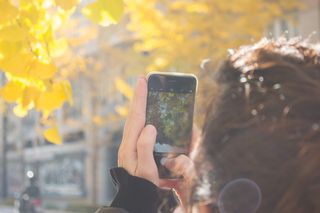 穿着黑色夹克的男子使用 Iphone 为绿叶树拍照