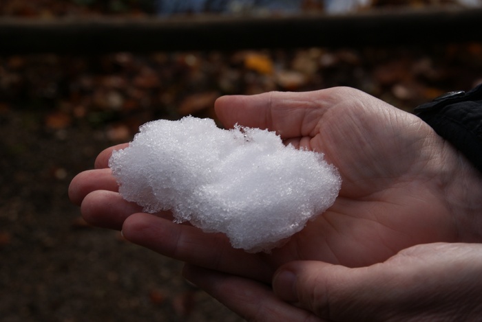 雪，水，手，冬天，融化，寒冷，保持，人类的手