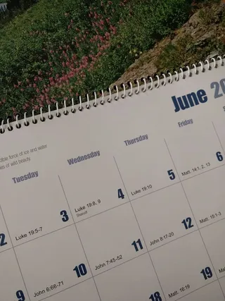 高角度视图、纸张、通讯、植物、无人、日期、数字、自然