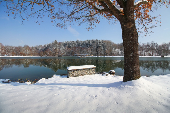 雪，冬天，寒冷，树，冰冻，冰，湖，冬天的湖
