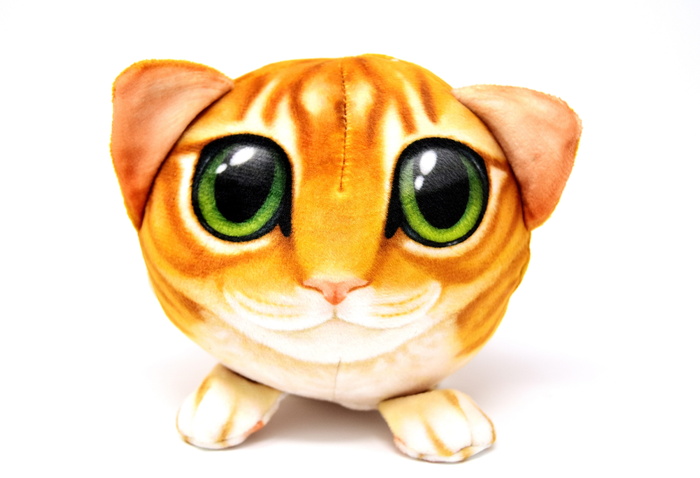 猫，抽象，有趣，roly poly，软玩具，填充动物，可爱，有趣