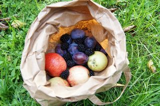 水果，收获，苹果，李子，黑莓，秋天，水果，袋