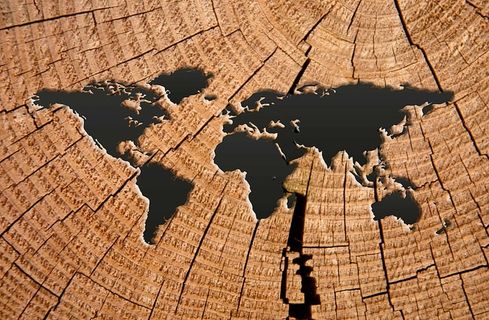 旧的，世界地图艺术品，世界，地图，世界地图，地球，地球，图案