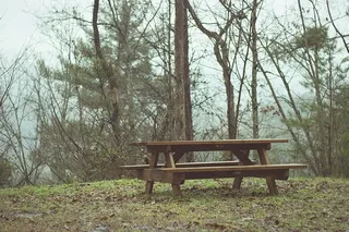 美国，鸽子锻造场，野餐，雾，雾，自然，树木，森林