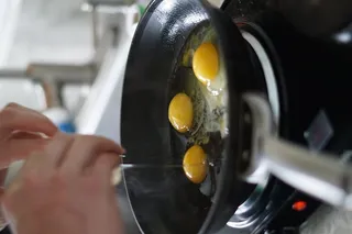 有机，新鲜鸡蛋，烹饪，早餐，鸡蛋，人的手，手，人体部分