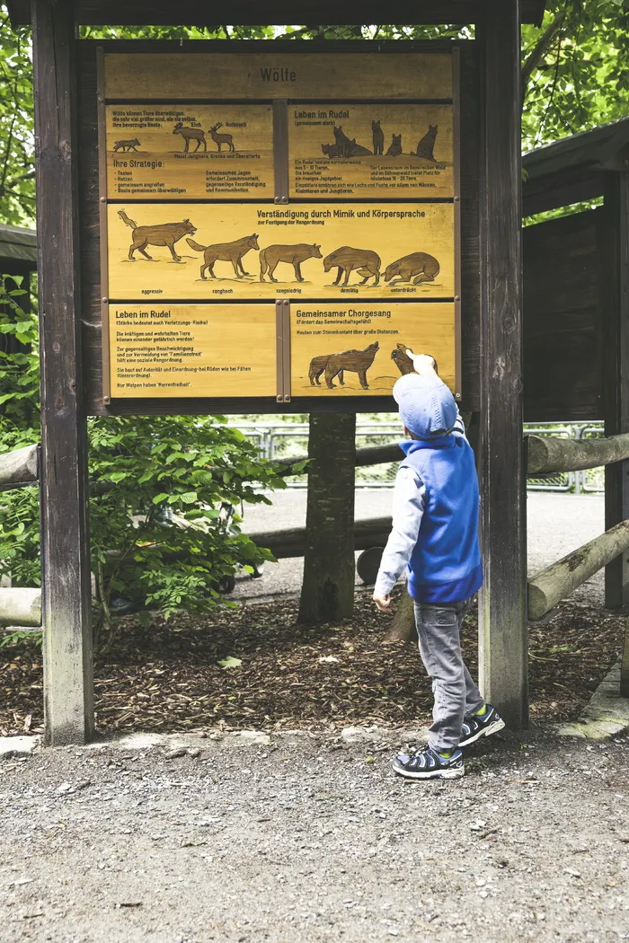 自然公园，野生动物园，自然，动物，野生动物，动物园，森林，毛皮