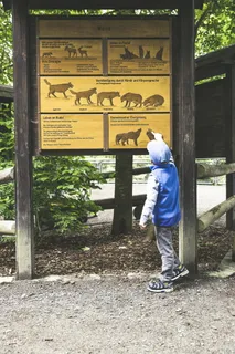 自然公园，野生动物园，自然，动物，野生动物，动物园，森林，毛皮