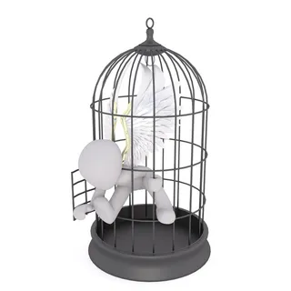 黑色, 金属圆顶鸟笼, 天使图, 男性, 3d 模型, 孤立, 3d, 模型