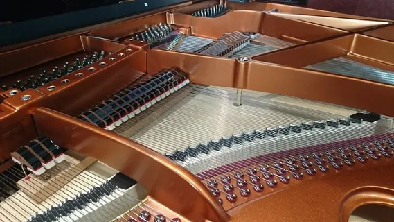 钢琴，大钢琴，翅膀，音乐，乐器，音乐设备，室内，艺术文化和娱乐