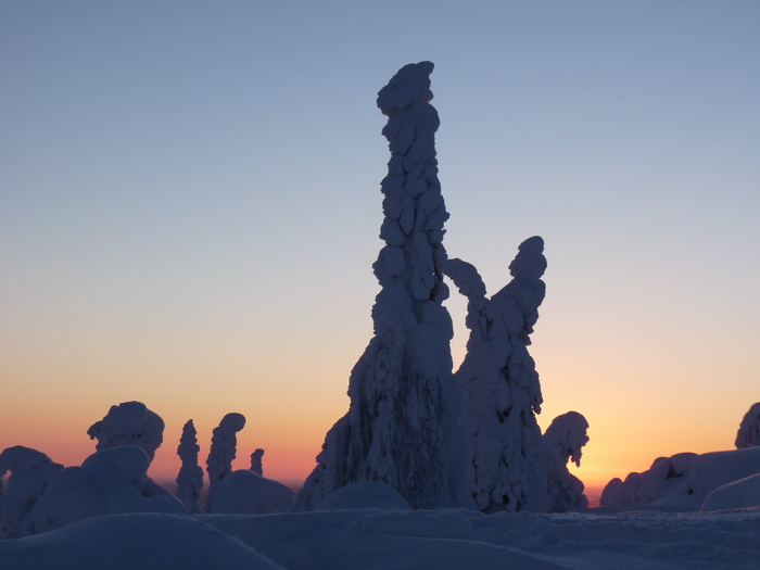人，雕像，金色，小时，芬兰，雪，拉普兰，雪景观