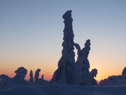 人,雕像,金色,小时,芬兰,雪,拉普兰,雪景观 人,雕像,金色,小时,芬兰,雪,拉普兰,雪景观