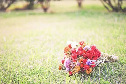 白天绿色草地上的花束