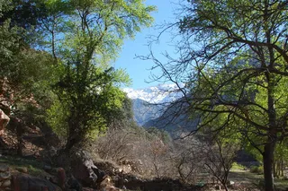摩洛哥，风景，非洲，自然，山脉，marroc加入juncadella at，树，植物