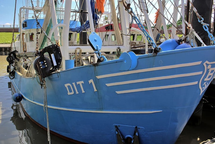 港口、船舶、渔业、海洋、运输、港口、船只、水