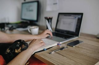 和她的狗在笔记本电脑上工作的女人