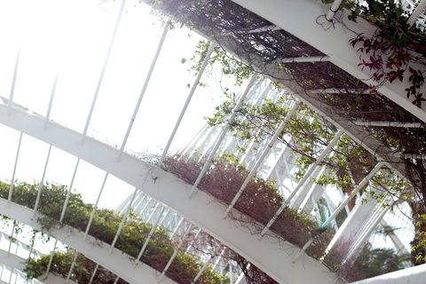 架构, 绿色, 可持续, 生态, 植物, 通告, 卡拉特拉夫, 瓦伦西亚