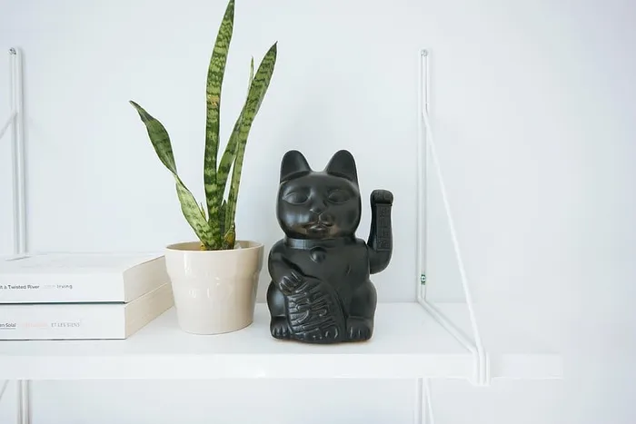 黑色、灰色、manekineko、旁边、绿色、蝰蛇植物、桌子、白色