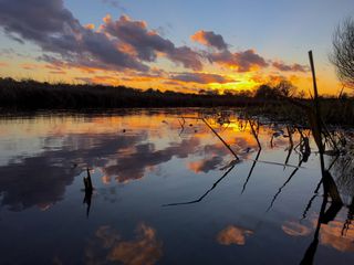 钓鱼，hickling broad，诺福克，倒影，天空，水，云天，日落