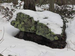绿色、苔藓、雪、阴影、巨石、冬季、低温、白色