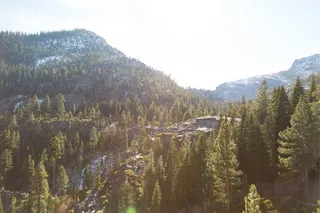 鸟瞰、山脉、树木、绿色、松树、日光、自然、景观