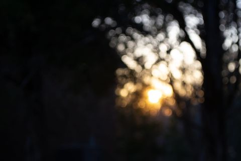 光, 耀斑, 美国, 格林维尔, 自然, 阳光, 户外, 模糊