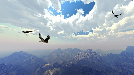 二、灰色、老鹰、翱翔、数字艺术、计算机图形、艺术品、山脉