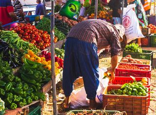 被蔬菜包围的人