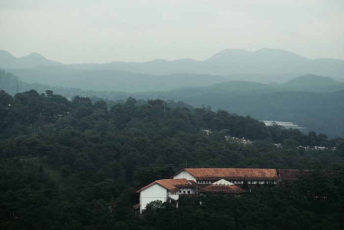 鸟瞰照片白色棕色建筑树木自然景观