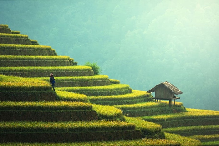 中国农村的农业景观
