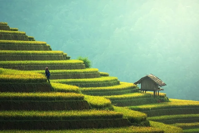 中国农村的农业景观