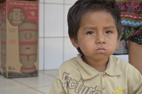 男孩, 儿童, 土著儿童, 肖像, 童年, 爆头, 正视图, 一个人