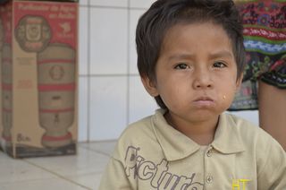 男孩, 儿童, 土著儿童, 肖像, 童年, 爆头, 正视图, 一个人