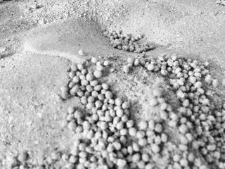 卡塔尔，未命名的道路，土地，没有人，选择性的关注，沙滩，丰富