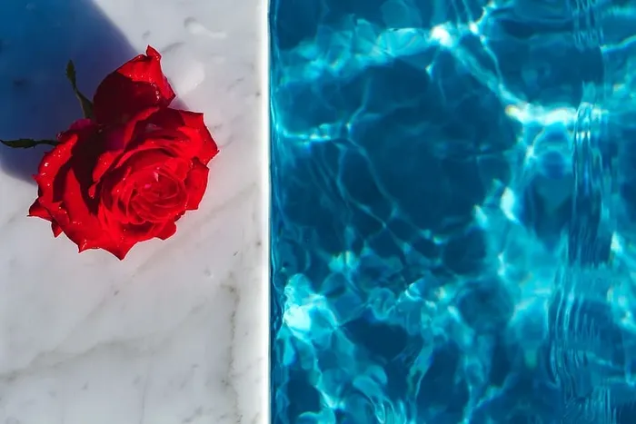 在一个温暖的夏日，一座游泳池的碧水上升起了一座清新的花园