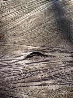 木材,旧木材,树干,纹理,条纹木材,木材切割,全框架,背景 木材,旧木材,树干,纹理,条纹木材,木材切割,全框架,背景