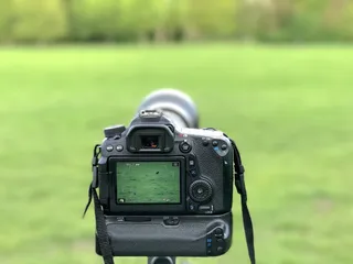 黑色，单反相机，草地，相机，摄影，佳能，Eos，自然，佳能
