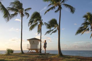 女士，站立，棕榈树，灰色，衬衫，正面，海洋，白天