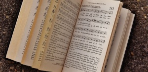 棕色表面上的歌曲书