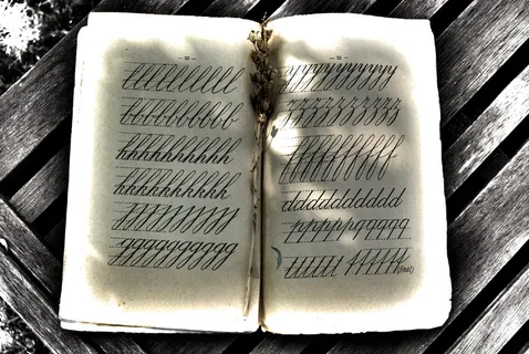 邮件、书写、旧书、书籍、黑白、评论、草书、无人