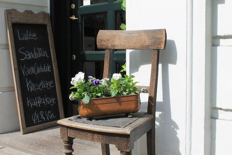 哥本哈根，丹麦，咖啡馆，花，植物，开花植物，座位，自然