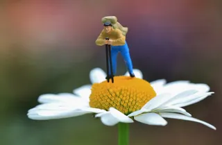 宏观照片，远足者雕像，白色，花瓣花，微型，雕塑，迷你世界，玩具