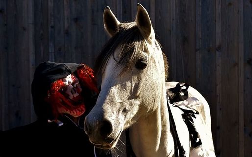 万圣节，血腥，恐怖小丑，毛骨悚然，马，小马，模具，万圣节射击