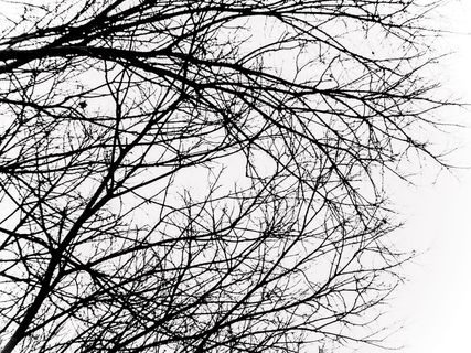 巴塞罗那，西班牙，巴塞罗那当代艺术博物馆，分馆，冬季，神经元，神经元，大脑