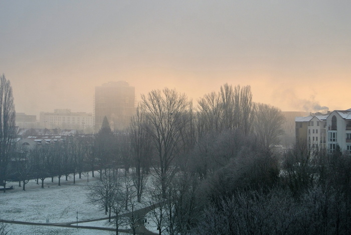 雾，雾，冬天，雾，黎明，霜冻，寒冷，雪