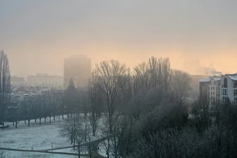 雾,雾,冬天,雾,黎明,霜冻,寒冷,雪 雾,雾,冬天,雾,黎明,霜冻,寒冷,雪